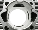 Morini Eurocilindro 45mm Reed Valve Kit for m01/m02 - NO INTAKE