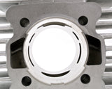 Puch DMP 45mm "70cc" Reed Kit