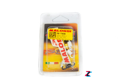 Vespa Malossi Single Speed Clutch Springs