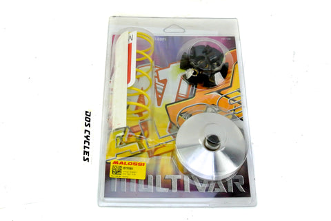 Derbi Hunter and Revolution Malossi Multivar Variator