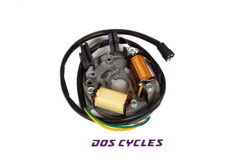 Derbi Flat Reed 6 Volt Ducati CDI Stator Plate