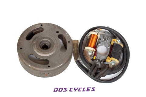Derbi Motoplat 6v CDI Magneto and Stator